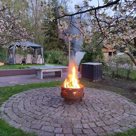 Grosszuegige Ferienwohnung Am Waldesrand Im Seenland Lauta Luaran gambar