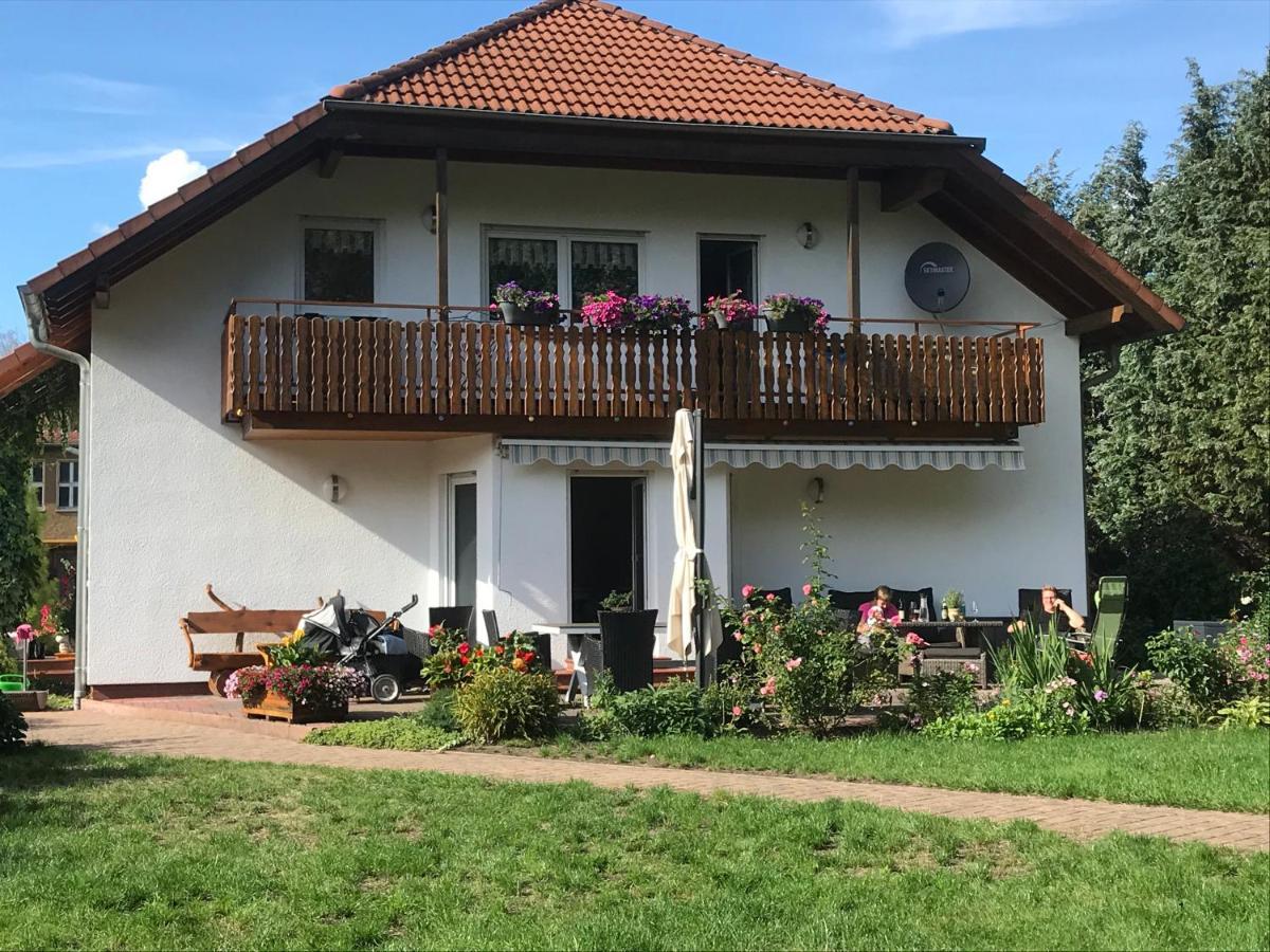Grosszuegige Ferienwohnung Am Waldesrand Im Seenland Lauta Luaran gambar