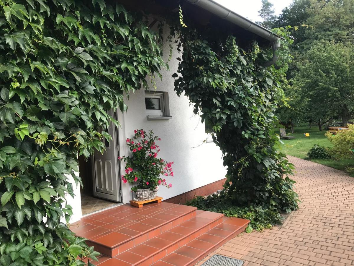 Grosszuegige Ferienwohnung Am Waldesrand Im Seenland Lauta Luaran gambar