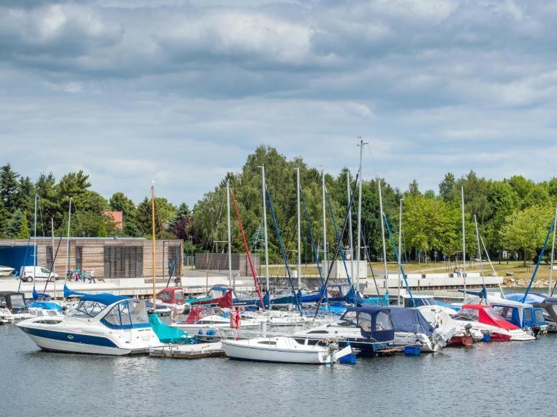 Grosszuegige Ferienwohnung Am Waldesrand Im Seenland Lauta Luaran gambar