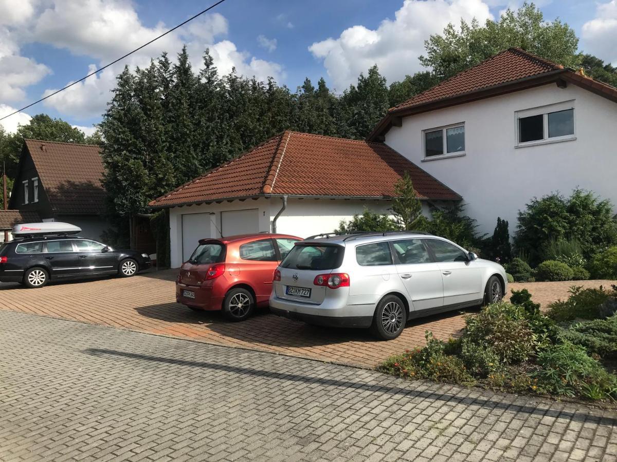 Grosszuegige Ferienwohnung Am Waldesrand Im Seenland Lauta Luaran gambar