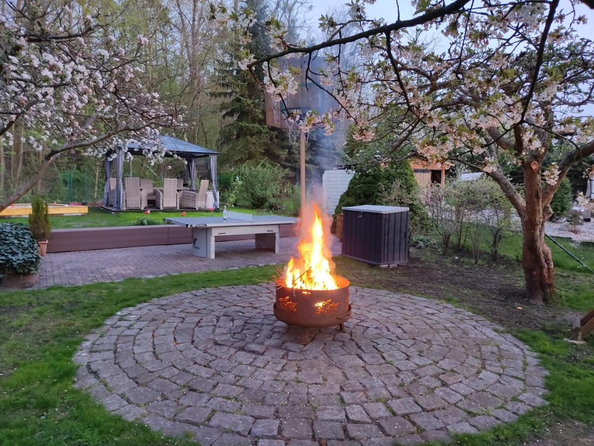 Grosszuegige Ferienwohnung Am Waldesrand Im Seenland Lauta Luaran gambar