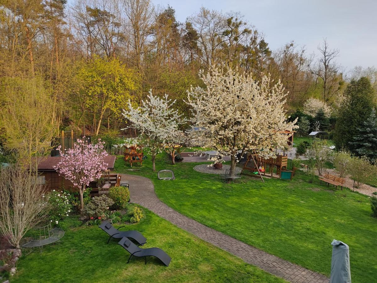 Grosszuegige Ferienwohnung Am Waldesrand Im Seenland Lauta Luaran gambar